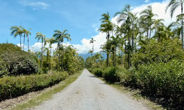 5 grandes rutas coche de alquiler costa rica