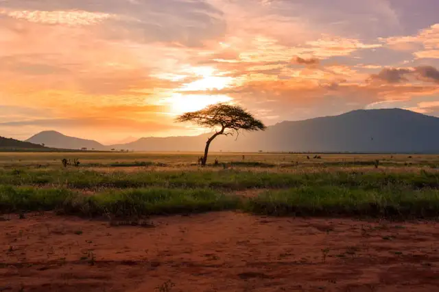 Ideas para viajar en otoño sudafrica