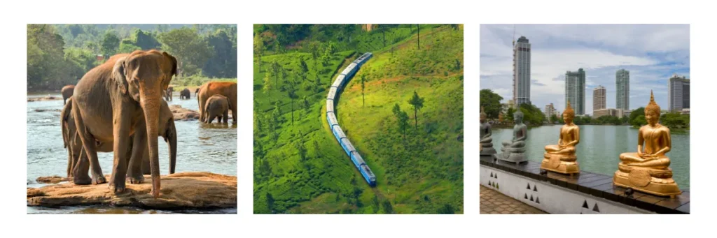 Viajar a Sri Lanka en 2026 - galeria | Norakai