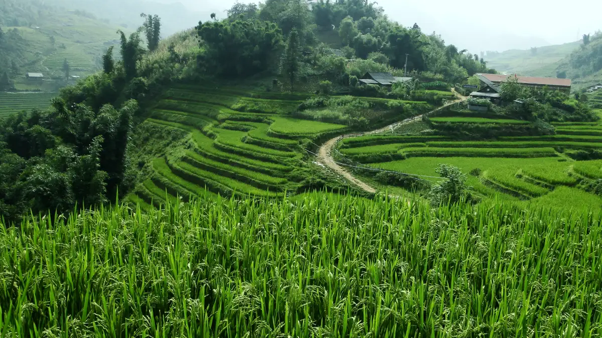 Viaje a Yunnan mini guia
