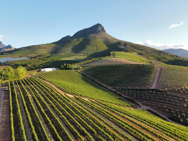 5 experiencias top para tu viaje a Sudáfrica
