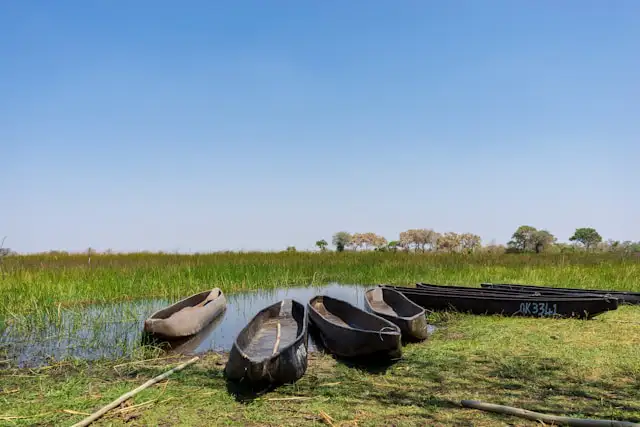 Cuándo visitar el Delta del Okavango